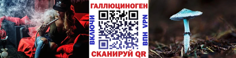 где можно купить наркотик  Киров  мега сайт  Галлюциногенные грибы GOLDEN TEACHER 